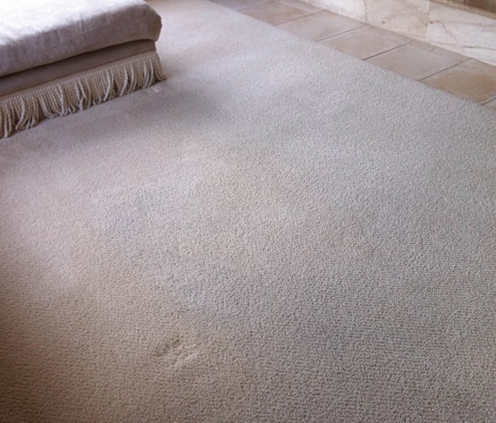 Standard Carpet Cleaning Ellenbrook